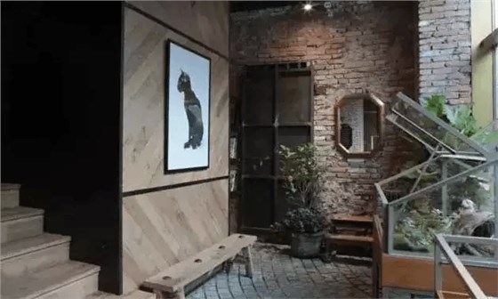 野獸派花店
