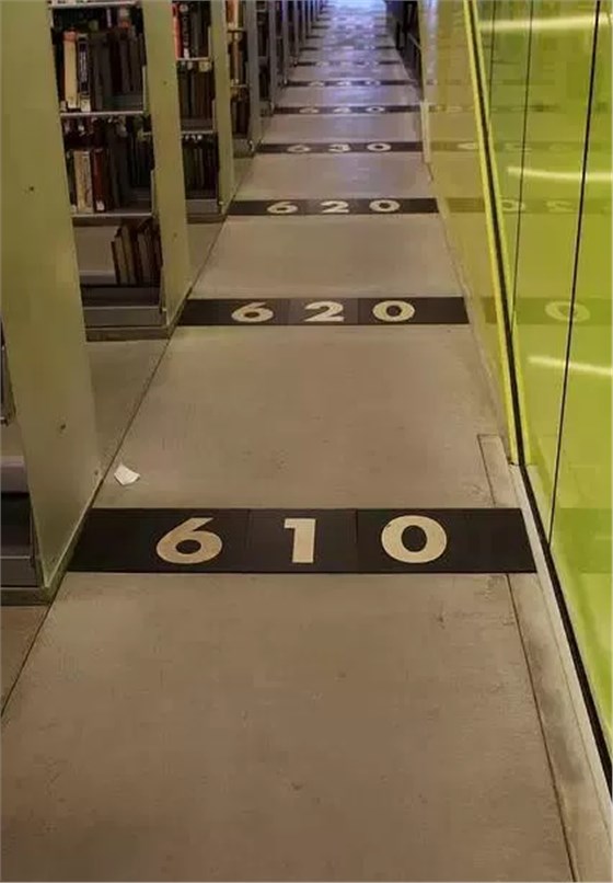 55