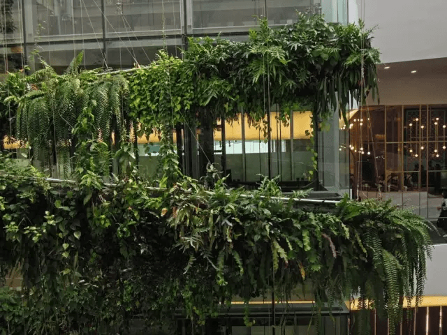 大型螺旋結(jié)構(gòu)綠植裝置藝術(shù)