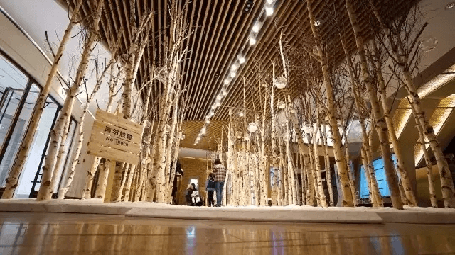 SCENE DISPLAY