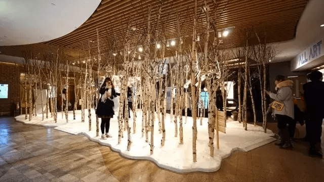 SCENE DISPLAY