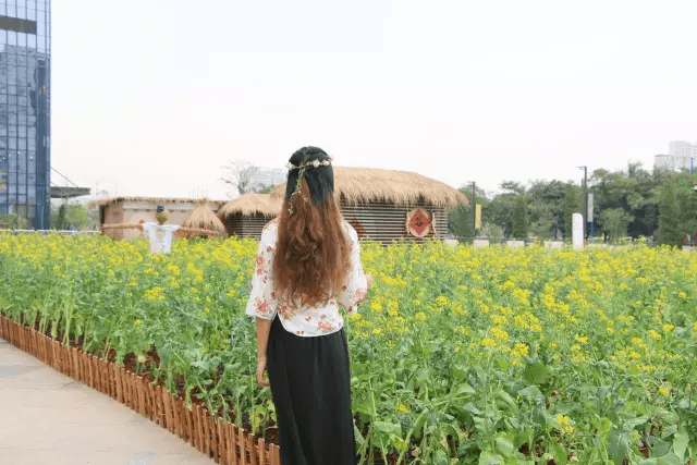 深圳龍華星河iCO