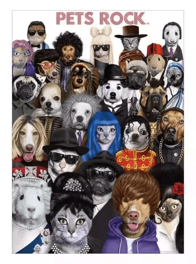 萌文化與時尚潮牌擦出的火花 PETS ROCK全球首展