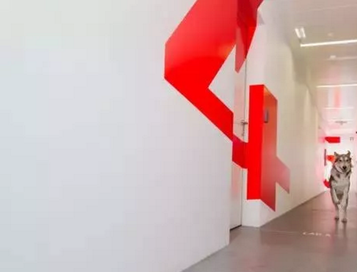 38